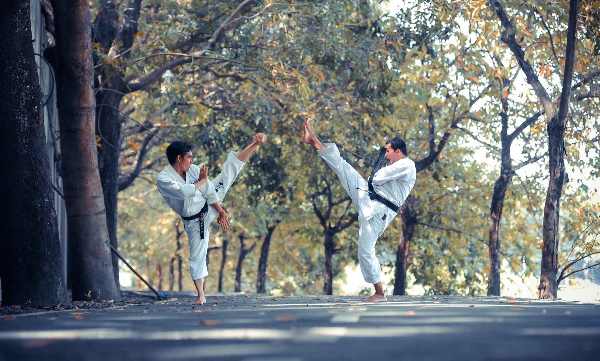 two people doing karate