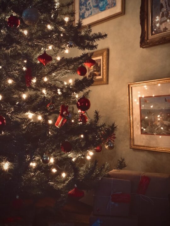 decorate for the holidays with christmas tree and twinkling lights