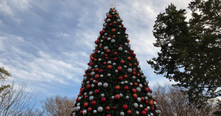 Christmas Tree in Dallas