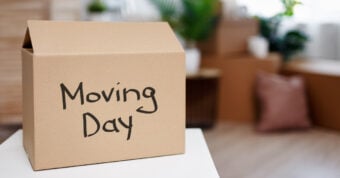 A box labeled "Moving Day" sitting on a counter.