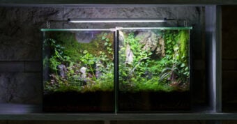 How to Move an Aquarium