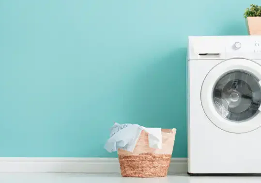 Photo of a laundry basket beside a washing machine with a plant on top against a light blue background