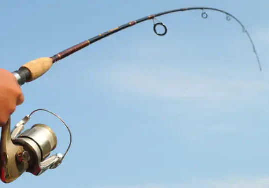Photo of a fishing rod